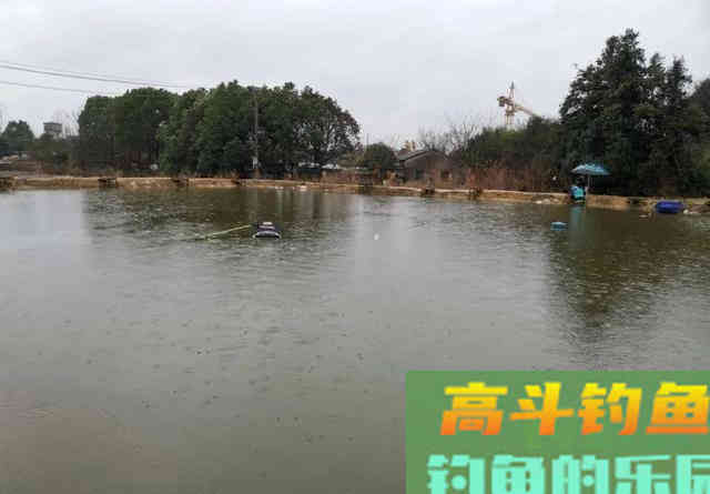 大顿口能中鱼？想要提高命中率，看这些信号提竿准没错