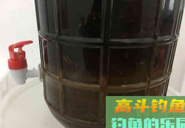 只用2种材料泡制的钓鱼药酒！钓鲫鱼效果显著