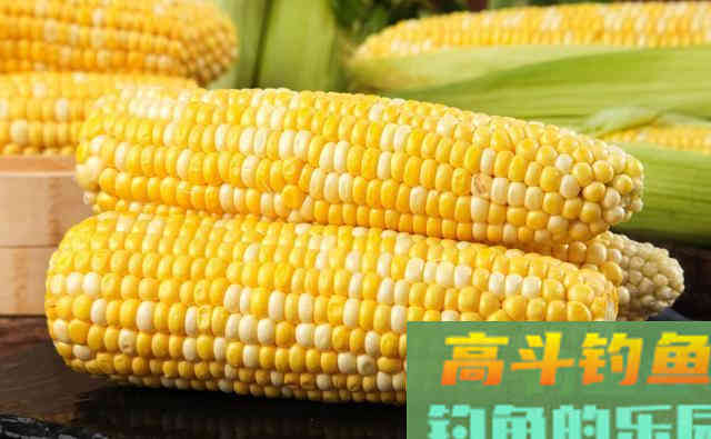 二十年的垂钓生涯三年的职业钓手，得出爆护的饵料离不开四个要素