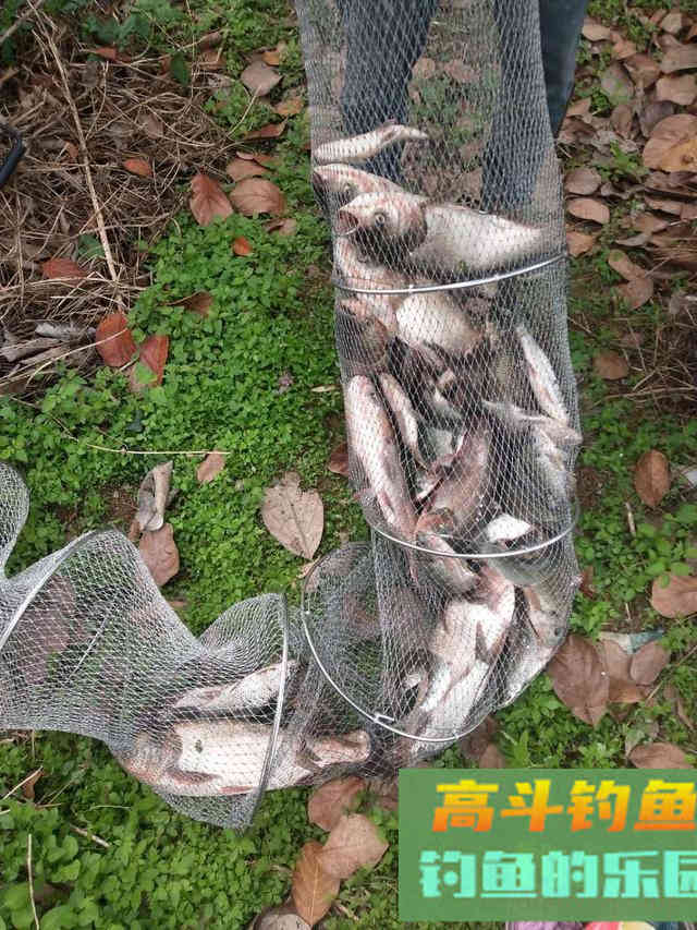 这几种钓鱼行为会惊窝，稍微留意就可避免
