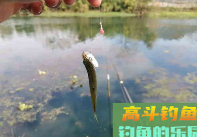 10次提竿9次锚，再等等鱼都跑光了