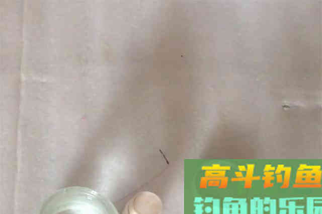 蓝鲫“蘸”着用，钓鱼效果远比拉着用强