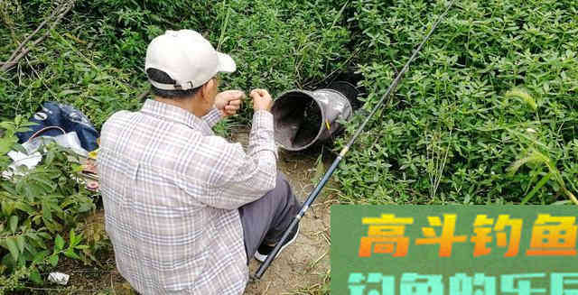 新手如何选择钓竿，分享一下自己的感受
