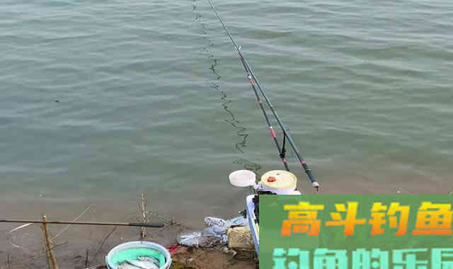 天冷用腥饵，腥饵也分三六九等，选对了鱼才咬钩