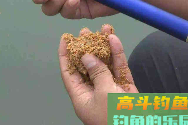 刚补完窝就没口，二十年老钓手倾囊相助