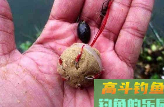 鱼儿喜欢什么样的饵料？要满足这些方面