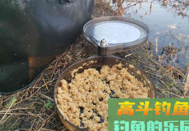 钓鱼最不该做的三件事，老钓手的经验之