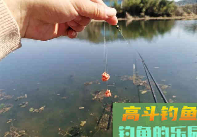 有水流的地方这样做窝诱鱼才快，效果要比手抛窝好得多