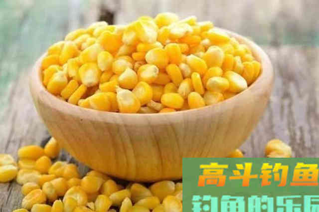 怪不得鲤鱼再大也爱吃，这饵太实用了