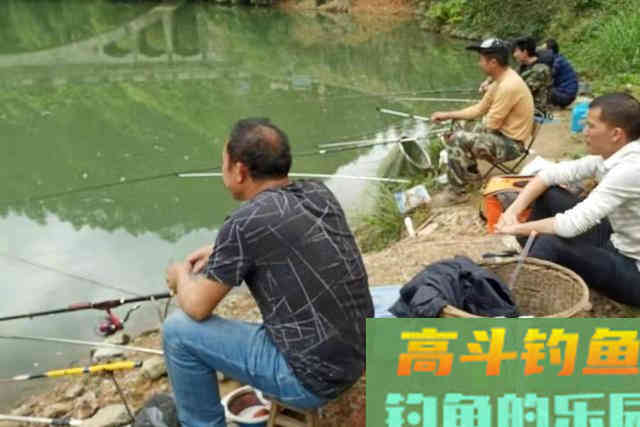 这才是打窝最正确的方式，难怪大草鱼不断上钩