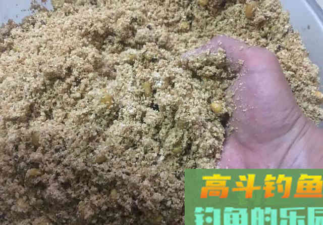鲜玉米用小药浸泡能快速诱鱼？钓草鱼原汁原味更好