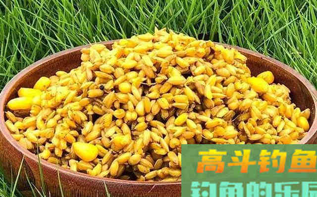 这款窝料成本只要几块钱，自制只须10分钟