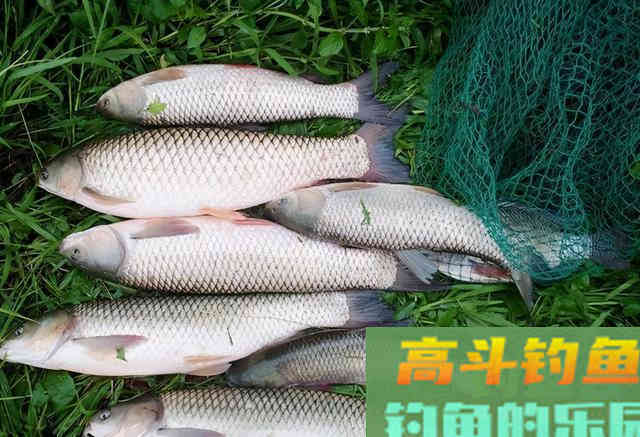 只要能解决这两点，打行程，一点都不难