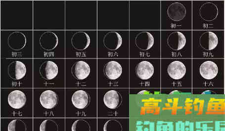 是什么决定了钓鱼隐藏定律