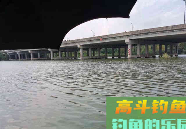 鱼偏食、停口就是小药的错？野钓者对小药误解太深