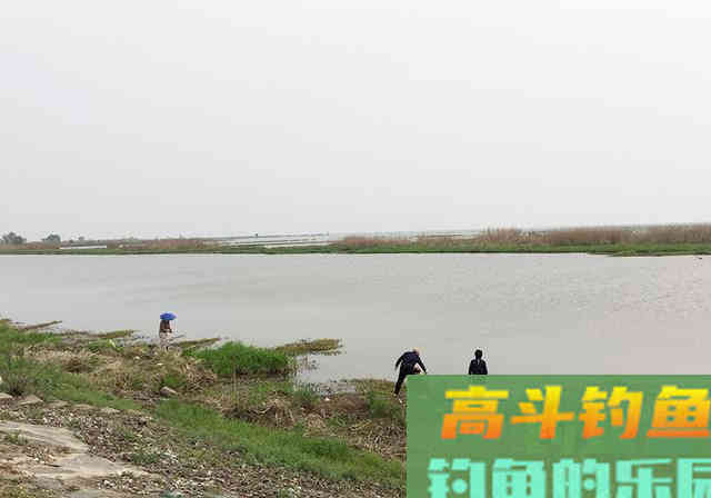新手花600块买堆钓具，一天钓了5条鱼