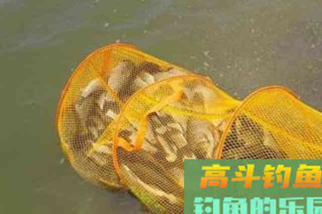 天气一冷，我就用这五字用饵精髓