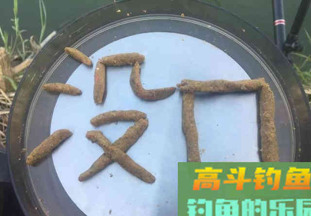 钓鱼不是喂鱼！春季钓大鱼打重窝会坏事