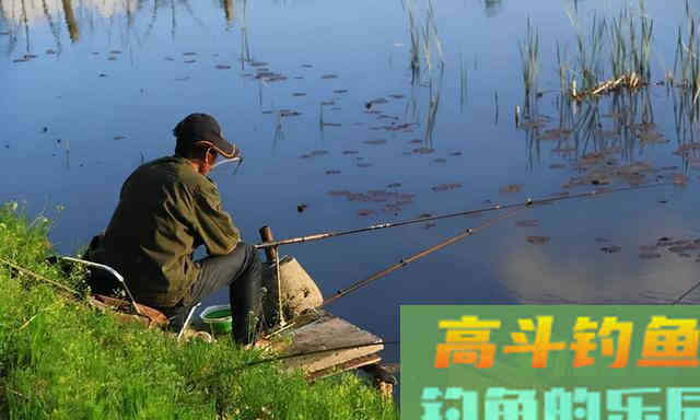 现在记住这七点，钓鱼时让你鱼获翻倍