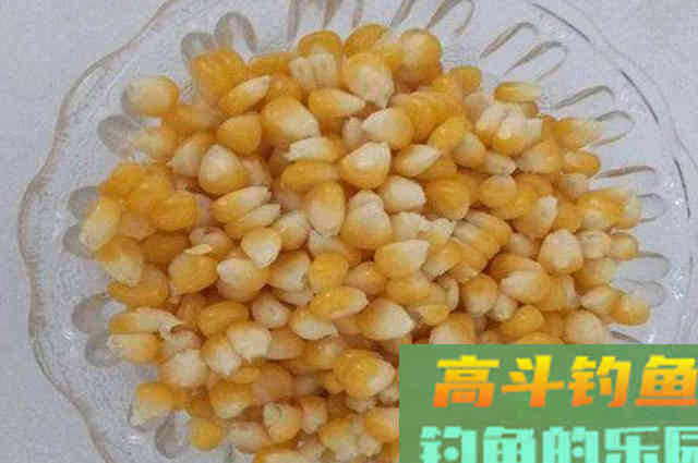 万万别小瞧这草鱼特效饵，刚一试用就接连中鱼