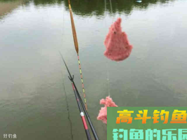 如何正确的选择商品饵？