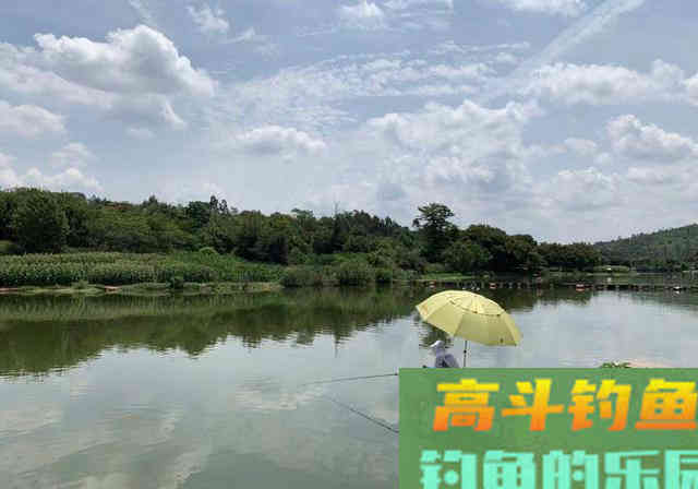 老钓客只用颗粒却多出半数渔获，最后请他抽盒华子
