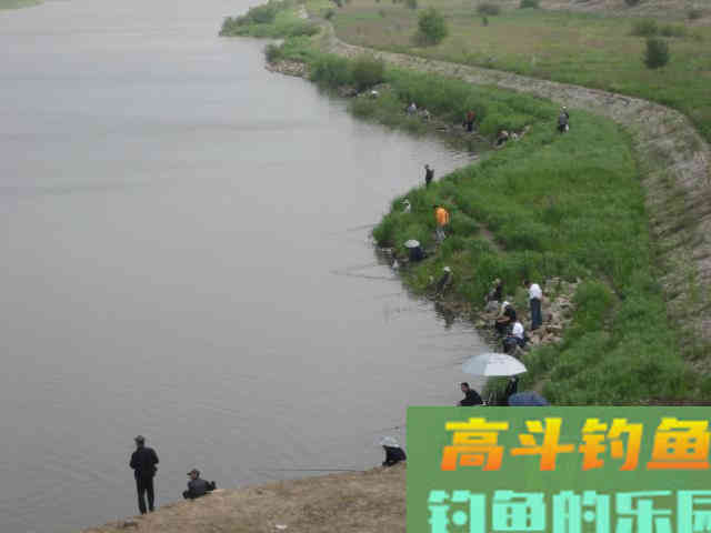 我钓鱼时常遇到的那位高手老黄，钓法出其不意