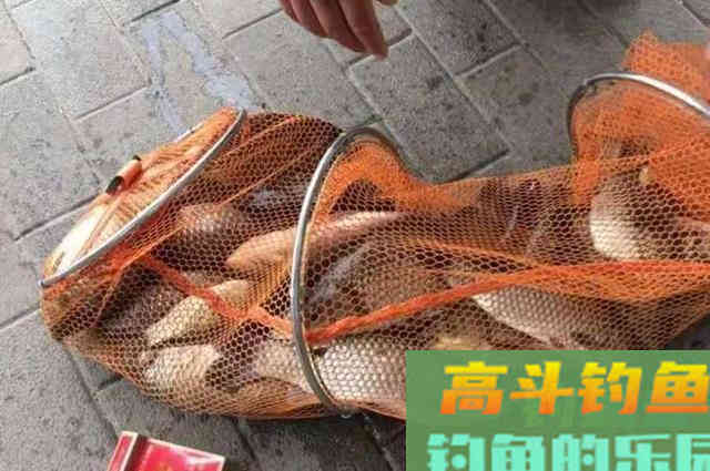 夏钓板鲫时，窝料这样配置才会大显神威