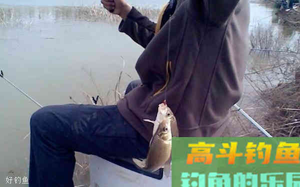冬天商品饵怎么搭配使用？要注意4点