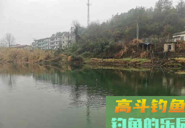 为什么蚯蚓​效果不如商品饵