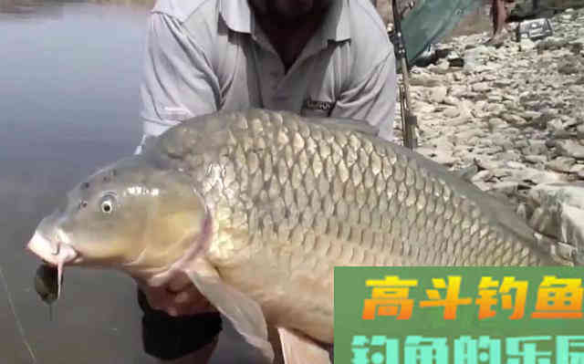 这几个迹象出现时，说明大鱼已经进窝了