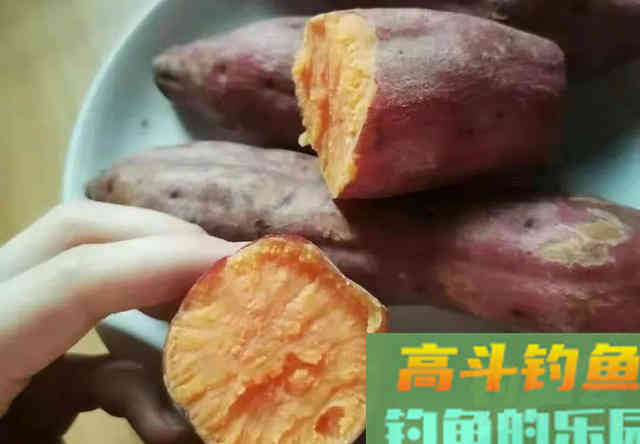 钓不到鲤鱼是你没用对窝料！这种粮食是大鲤鱼的最爱