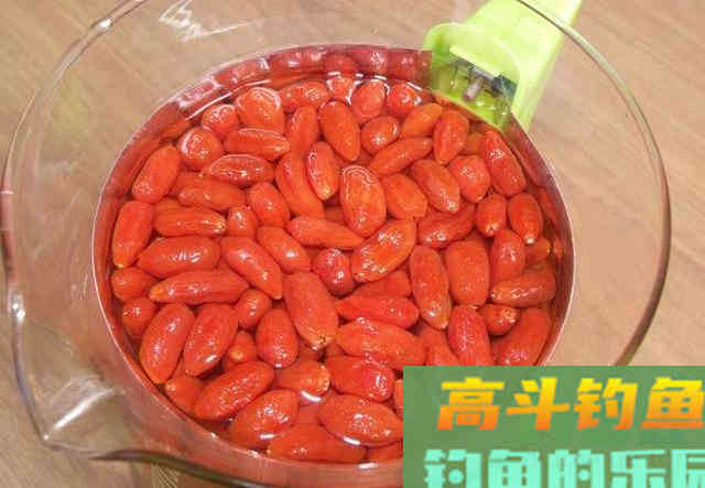 是噱头还是炒作，枸杞钓鱼，到底行不行