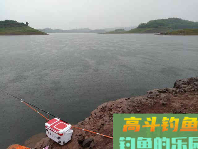 冬季钓鱼！蚯蚓胜过红虫？到底哪个好