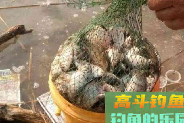 水一流，你收竿不钓，殊不知30年老钓手用这套路