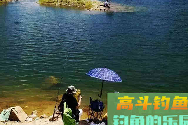 别人上鱼你不上鱼，埋怨根本没用