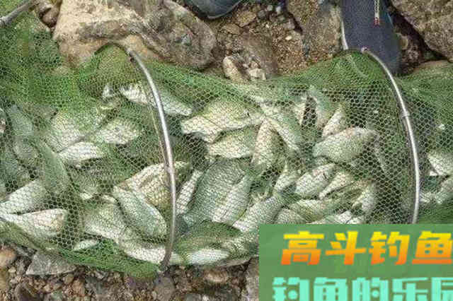打窝千万别直接用手抛