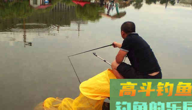 有鱼没口怎么办？别着急，找准原因才能解决问题