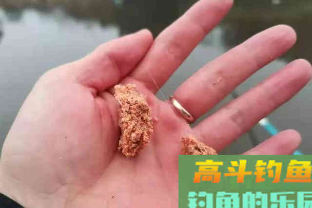 这鲫鱼饵果然够狠，头一次试用过了瘾