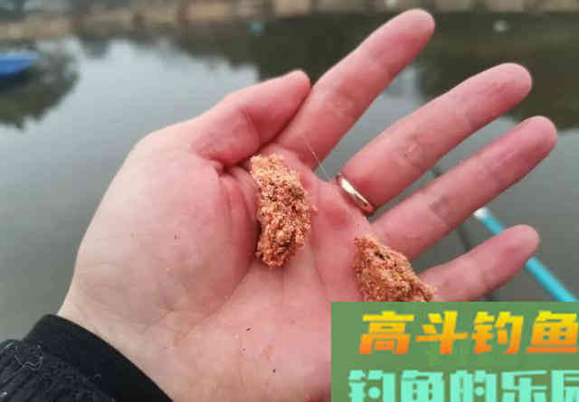 春季的鲤鱼不挑食，但这样搭配饵料效果更好