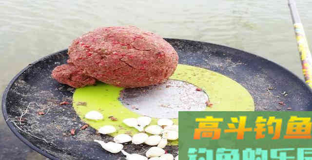 同样都是钓鱼，为何别人比你钓得多，秘密在这里