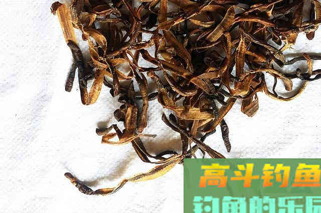 大叔没钱买饵料，索性就自己在家做