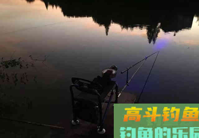 饵料中加点佐料，夜钓鱼口更佳