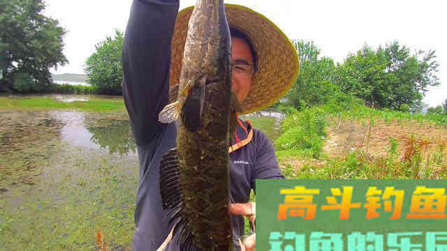 浅谈大鱼进窝的几种信号，看到就换大钩粗线准没错