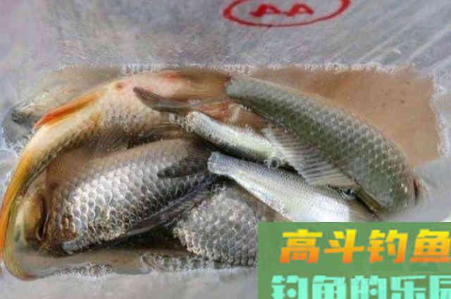 钓着钓着就没口了，老钓手：那是你没按套路出牌