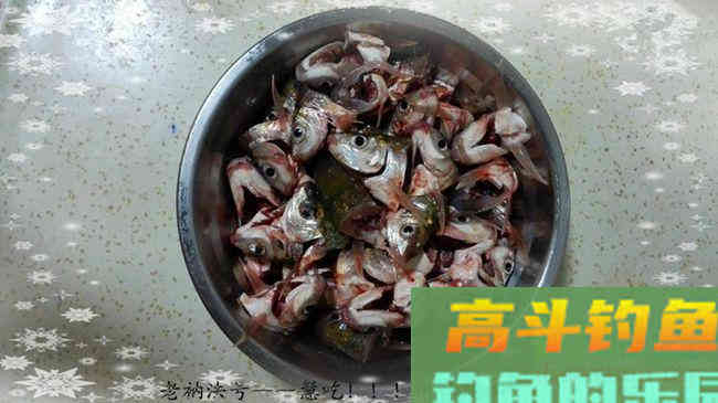 商品饵料搭配钓废塘大丰收鲮鱼