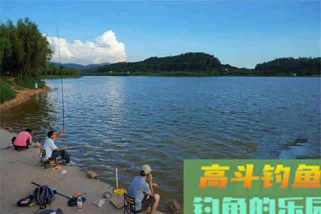 新手钓鱼想要好鱼获，得先了解这四个入门常识