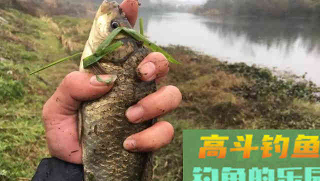 大师们不愿多提的5个钓鱼常识，却能帮新手少走许多弯路