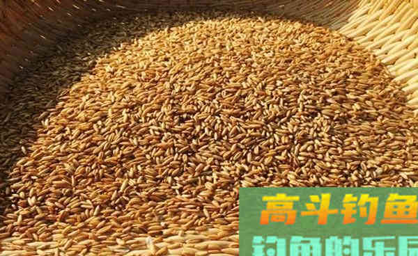 商品饵料才能钓到鱼？我表示不服，试试这些东西再说