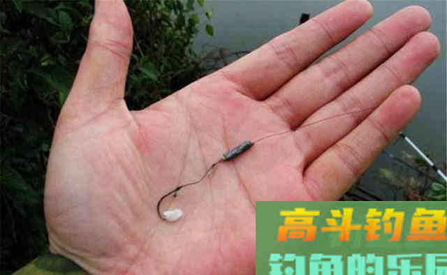 晚秋初冬钓鲫鱼，试试这些饵料配方